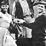 Fantasticks TV show ad